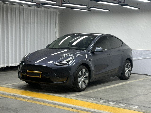 Tesla Model Y 2021 Tesla Model Y 2021 car image