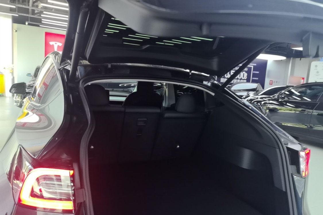 Tesla Model Y 2024 car image #10