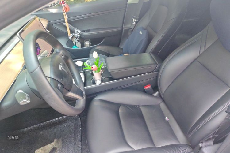 Tesla Model 3 2020 car image #17