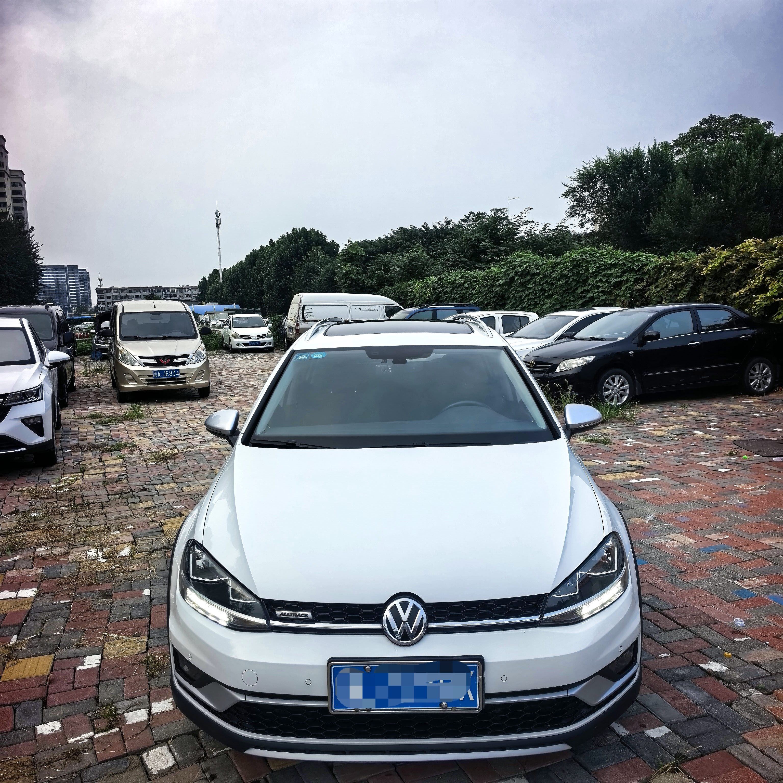 Volkswagen Golf (Imported) 2020 #5 Volkswagen Golf (Imported) 2020 car image #5
