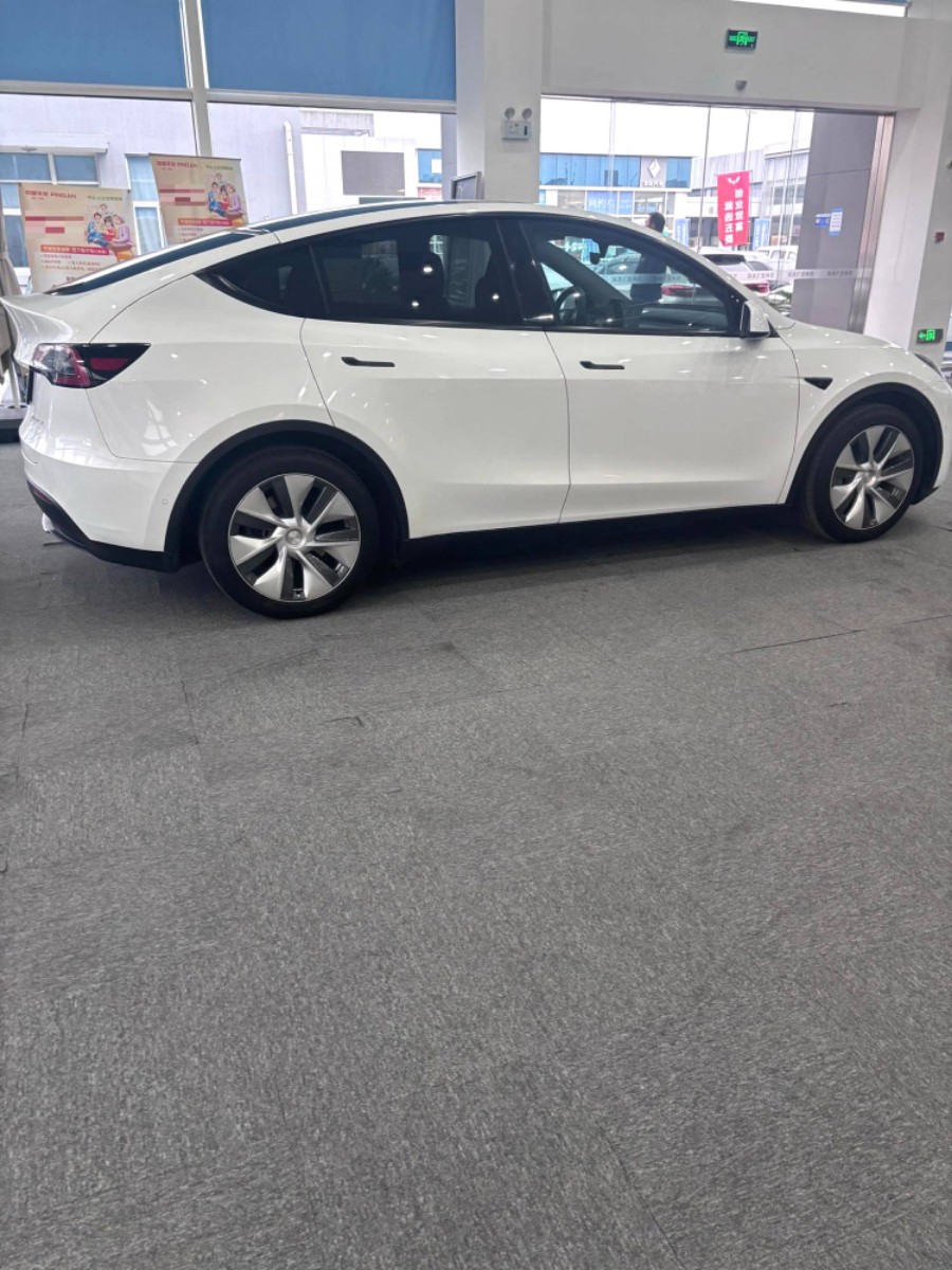 Tesla Model Y 2022 car image #7
