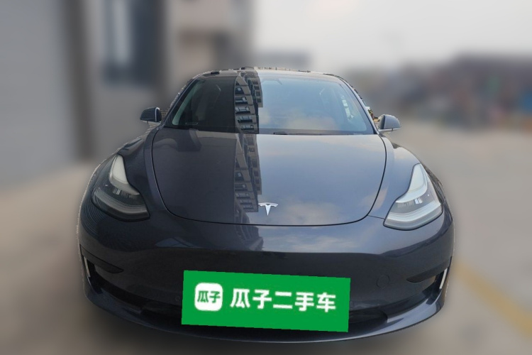 Tesla Model 3 2020 imagem de carro #3