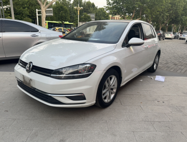 Volkswagen Golf 2019 Volkswagen Golf 2019 car image