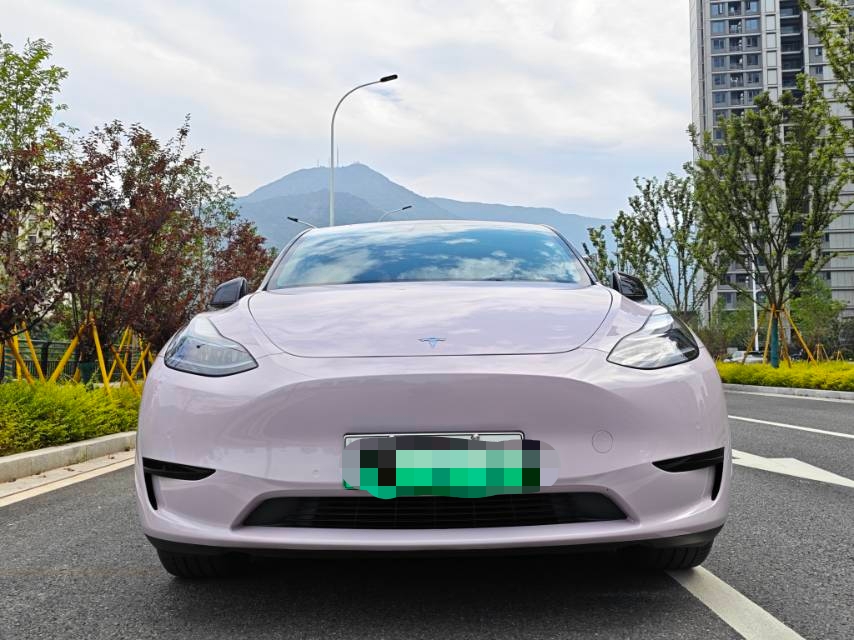 Tesla Model Y 2022 #2 Tesla Model Y 2022 car image #2