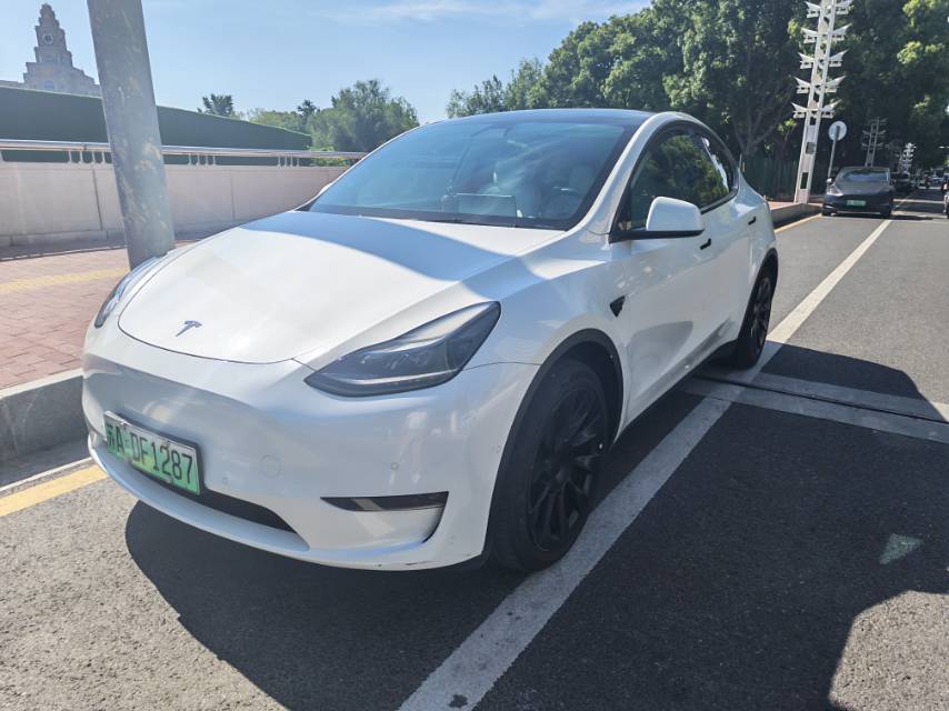 Tesla Model Y 2022 car image 