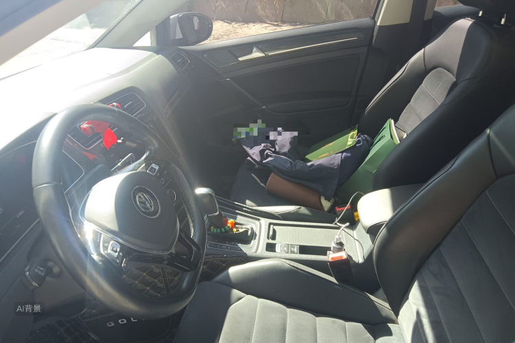 Volkswagen Golf 2019 car image #17