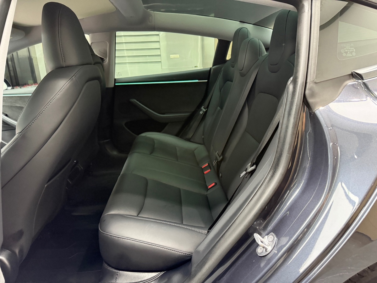 Tesla Model 3 2024 car image #7