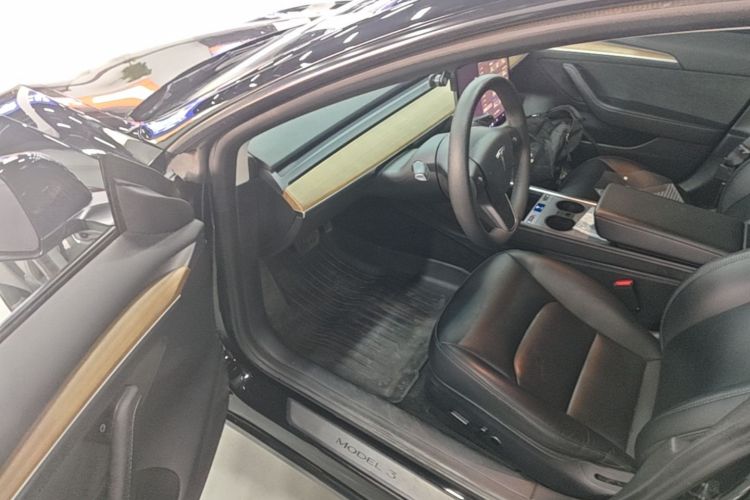 Tesla Model 3 2023 car image #16