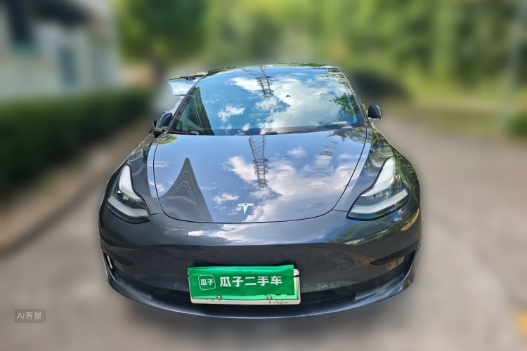 Tesla Model 3 2020 car image #3