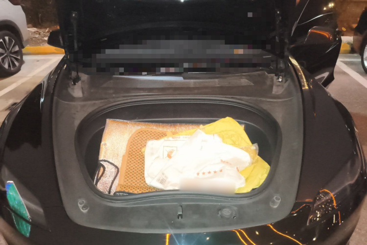 Tesla Model 3 2023 car image #22