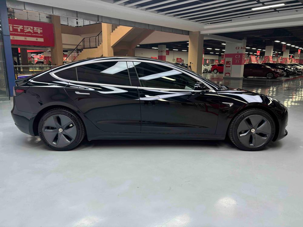 Tesla Model 3 2020 immagine di auto #8