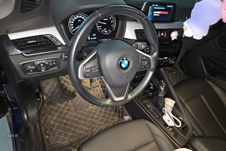BMW X1 2019 car image #12