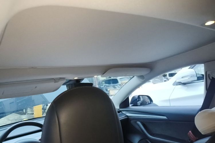 Tesla Model 3 2021 car image #20