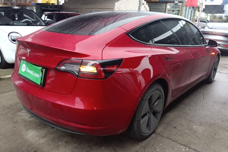 Tesla Model 3 2021 #5 Tesla Model 3 2021 car image #5