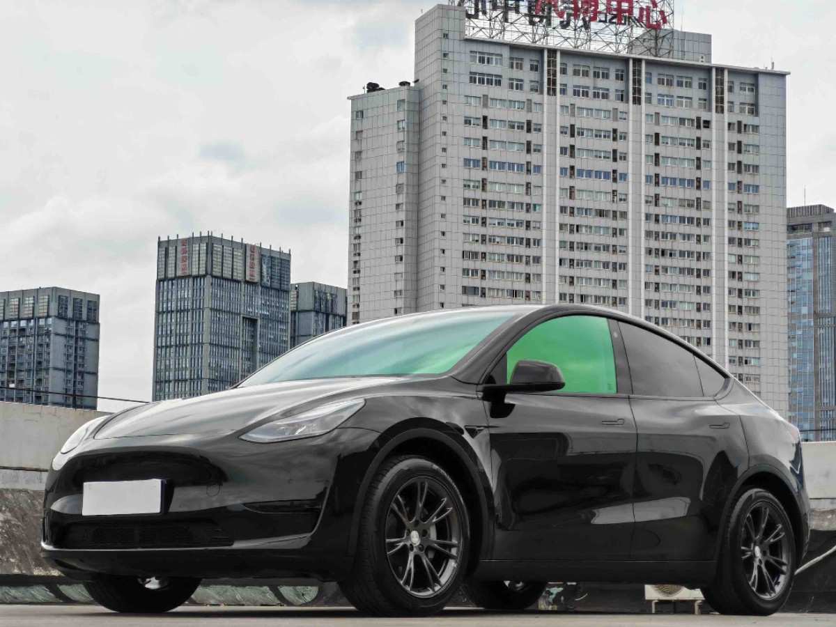 Tesla Model Y 2024 immagine di auto 