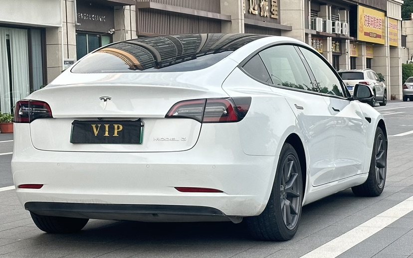 Tesla Model 3 2022 car image #6