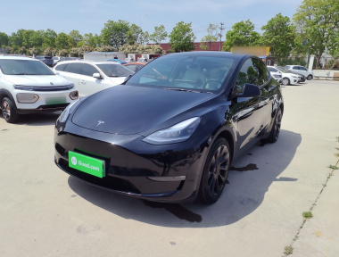 Tesla Model Y 2021 car image 