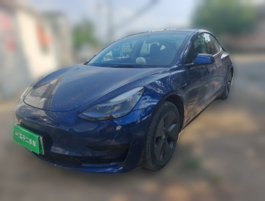 Tesla Model 3 2021 Tesla Model 3 2021 car image