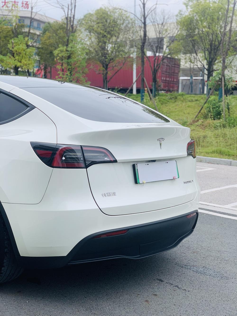 Tesla Model Y 2024 #15 Tesla Model Y 2024 car image #15