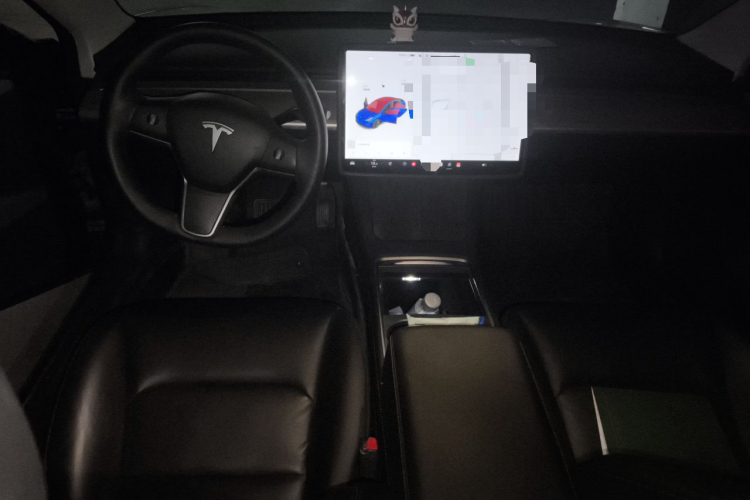 Tesla Model 3 2021 car image #12