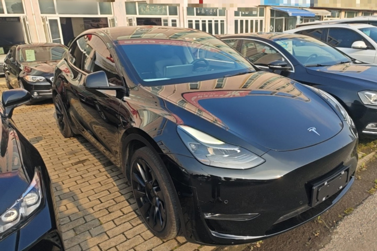 Tesla Model Y 2021 #6 Tesla Model Y 2021 car image #6