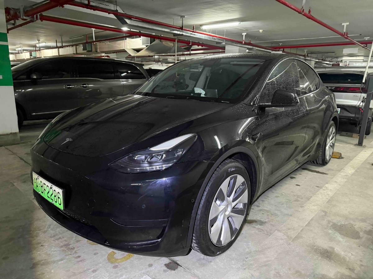 Tesla Model Y 2022 Tesla Model Y 2022 car image