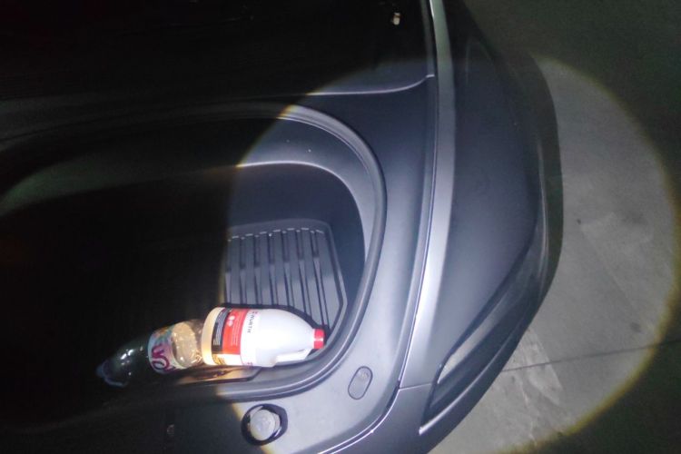 Tesla Model 3 2026 #25 Tesla Model 3 2026 car image #25