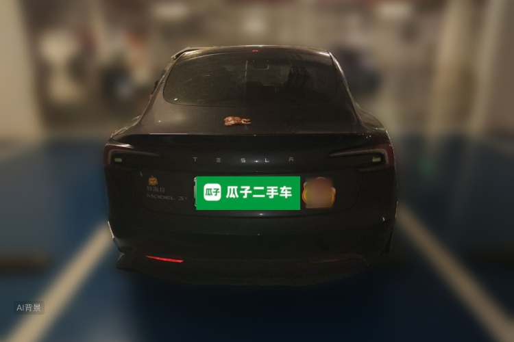 Tesla Model 3 2024 car image #6