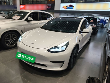 Tesla Model 3 2023 Tesla Model 3 2023 car image