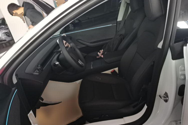 Tesla Model 3 2025 car image #15