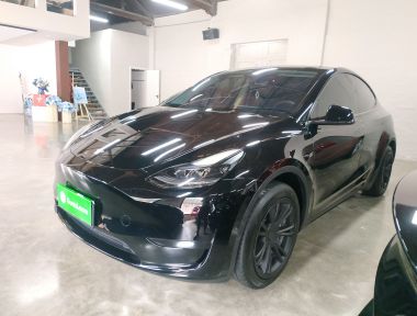 Tesla Model Y 2023 Tesla Model Y 2023 car image