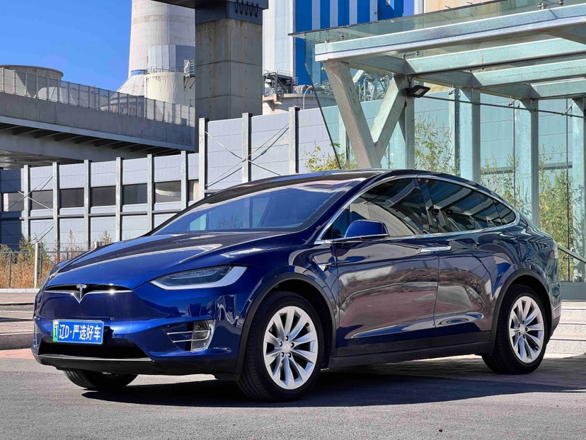 Tesla Model X 2019 car image 