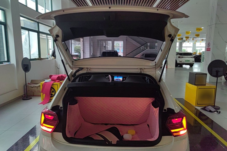 Volkswagen Polo 2020 car image #21