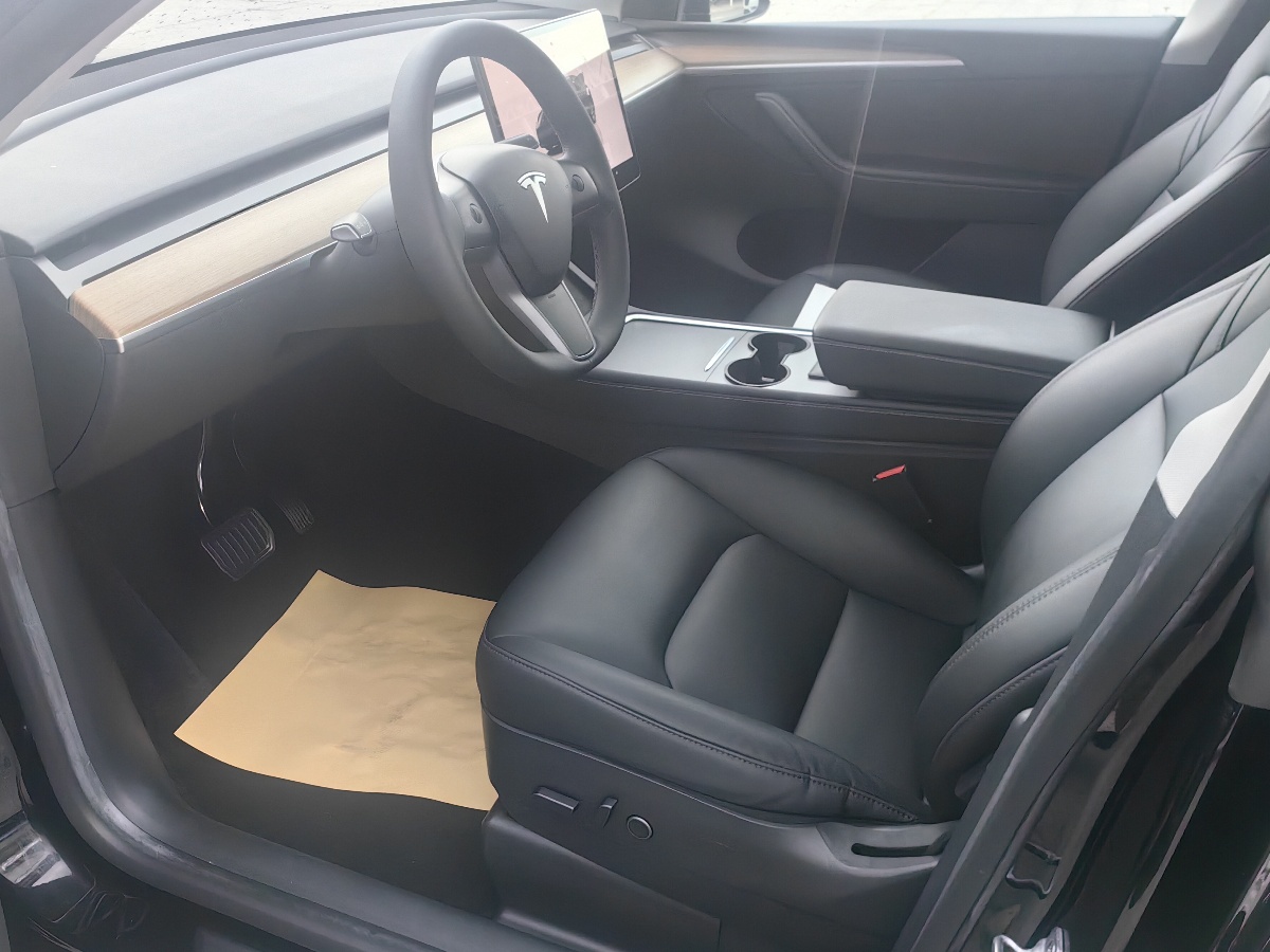 Tesla Model Y 2022 immagine di auto #9