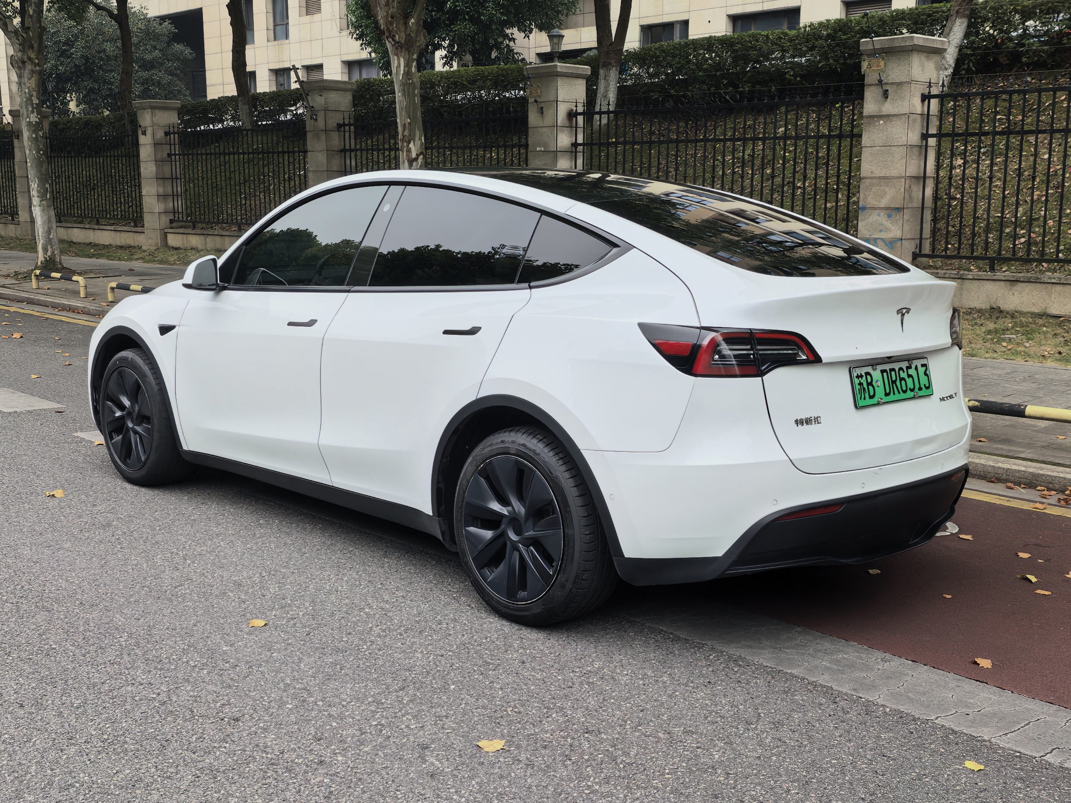 Tesla Model Y 2024 immagine di auto #2