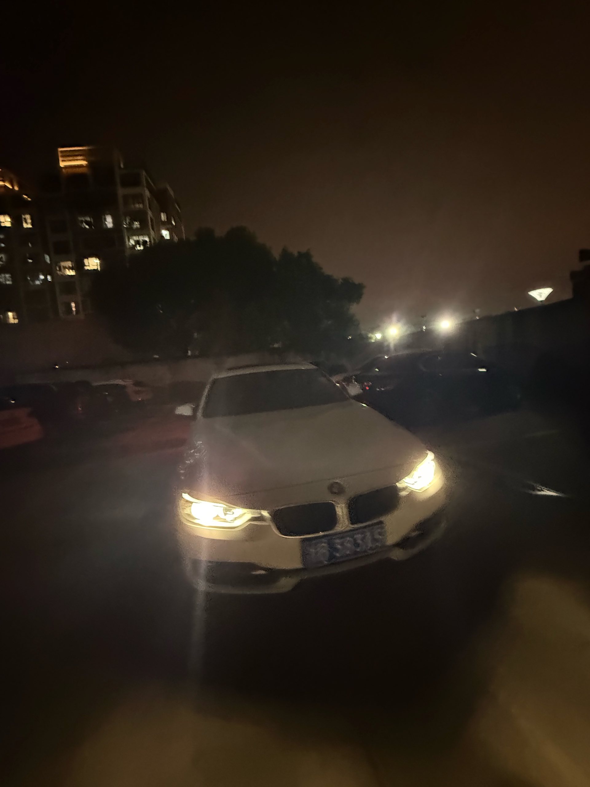 BMW 3 Series 2014 car image #3
