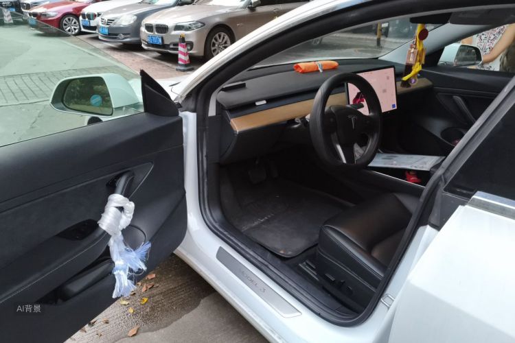 Tesla Model 3 2020 car image #18