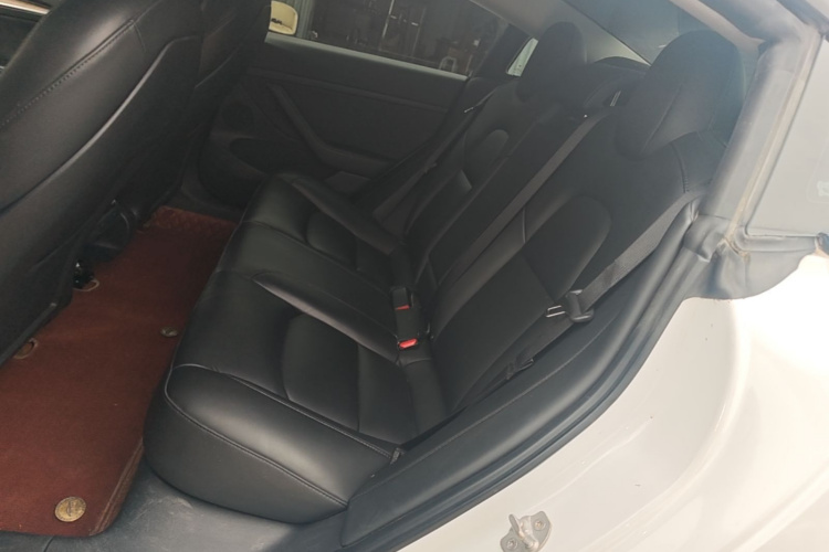 Tesla Model 3 2021 car image #17