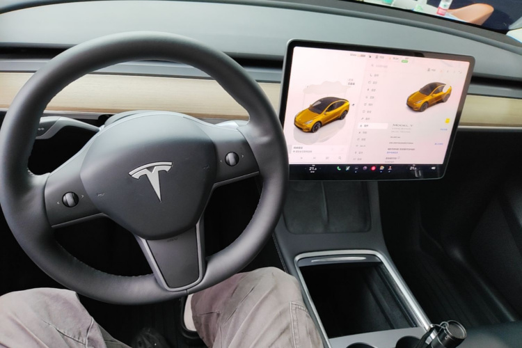 Tesla Model Y 2023 car image #10