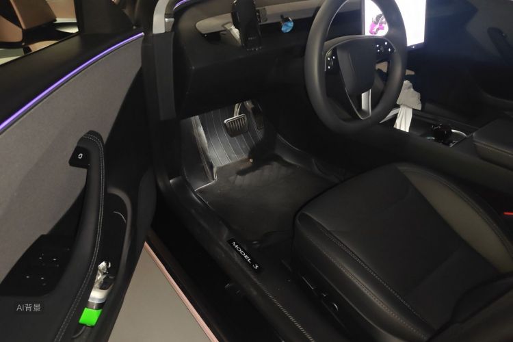 Tesla Model 3 2023 car image #18