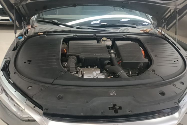 BYD Han 2022 #20 BYD Han 2022 immagine di auto #20