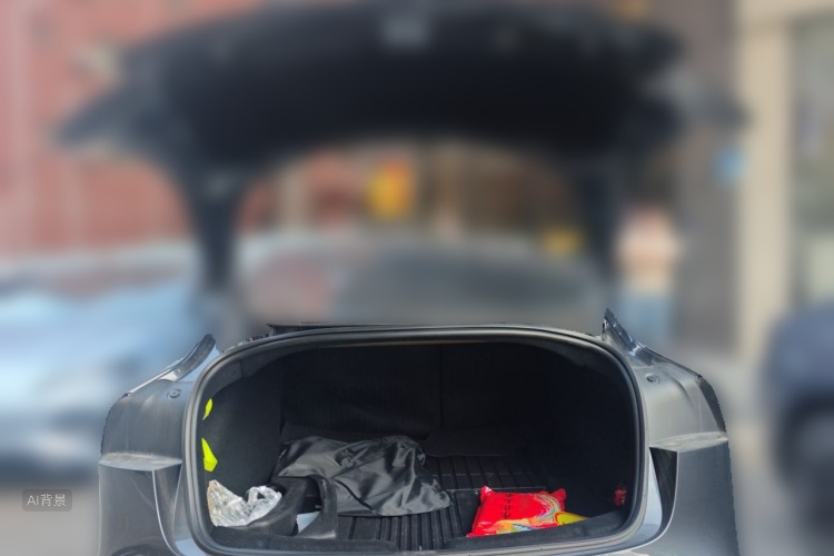 Tesla Model 3 2025 car image #21
