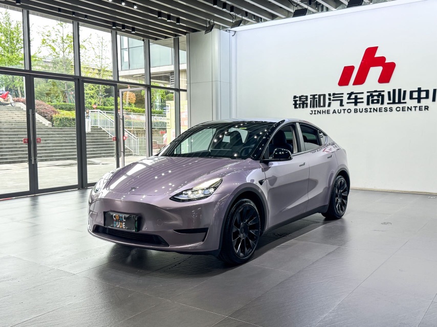 Tesla Model Y 2022 car image 