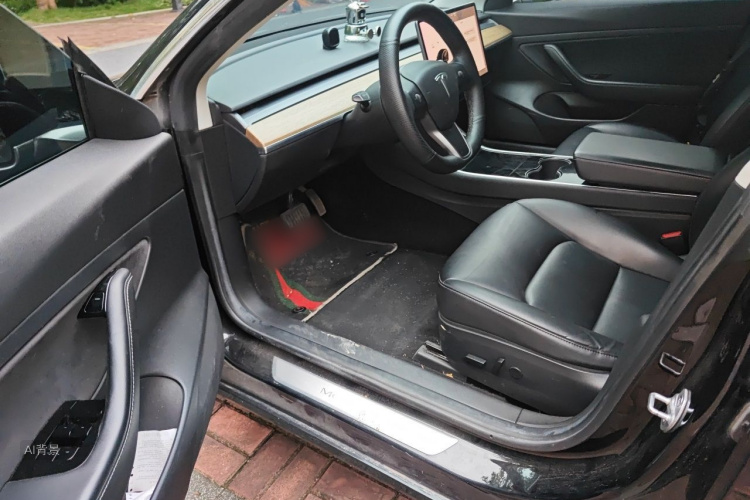 Tesla Model 3 2020 car image #18