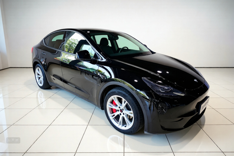 Tesla Model Y 2023 #4 Tesla Model Y 2023 car image #4