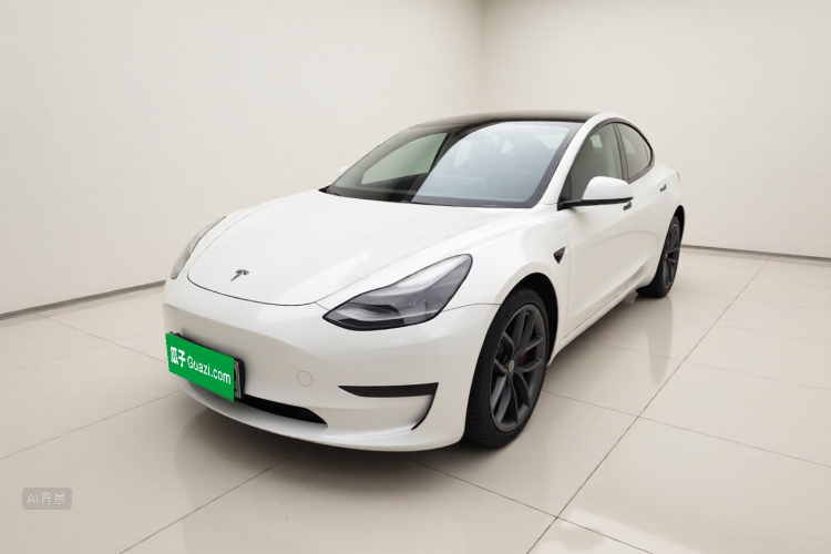 Tesla Model 3 2021 car image #2