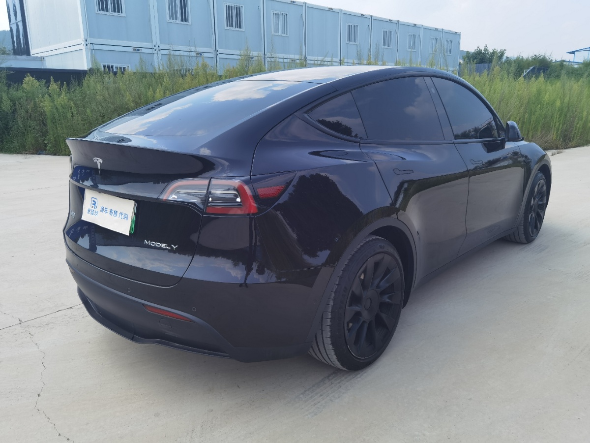 Tesla Model Y 2022 car image #4