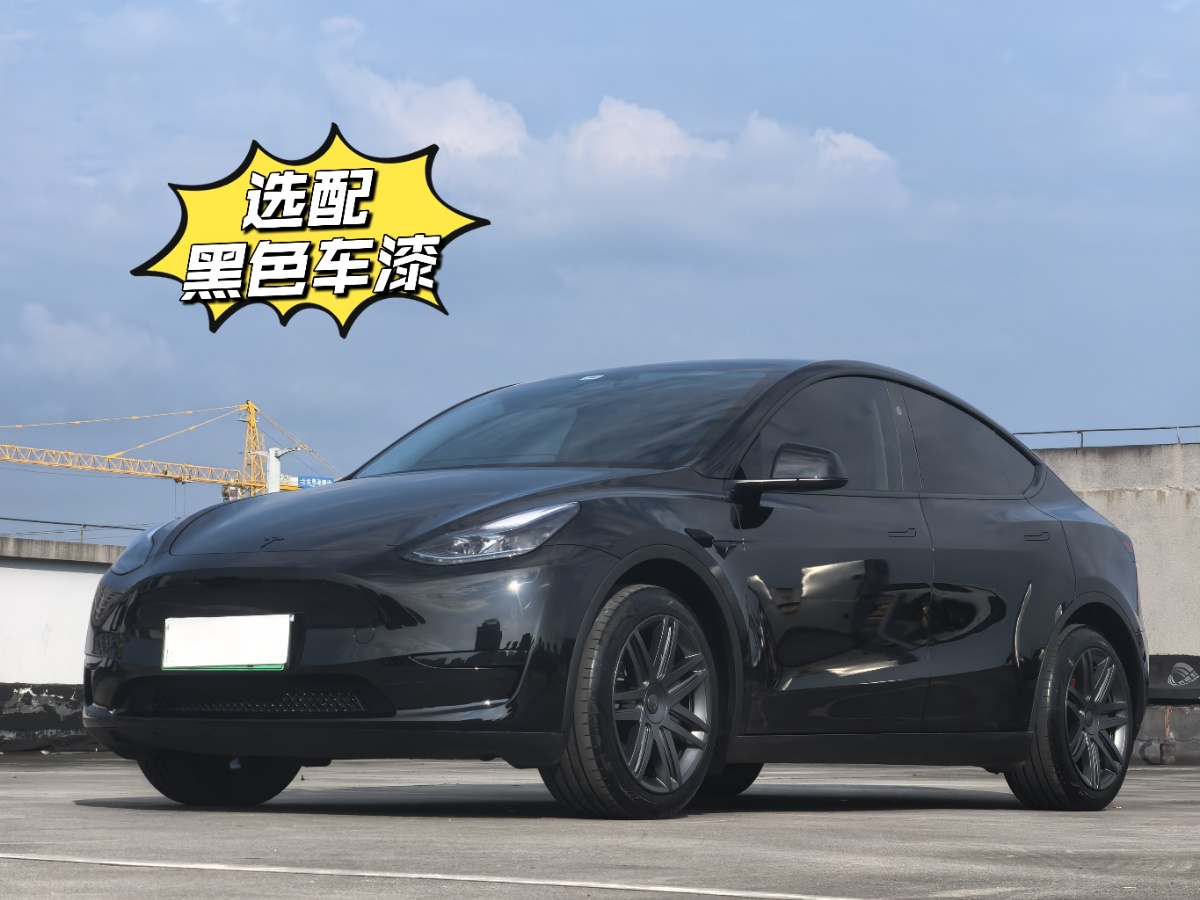 Tesla Model Y 2024 car image 