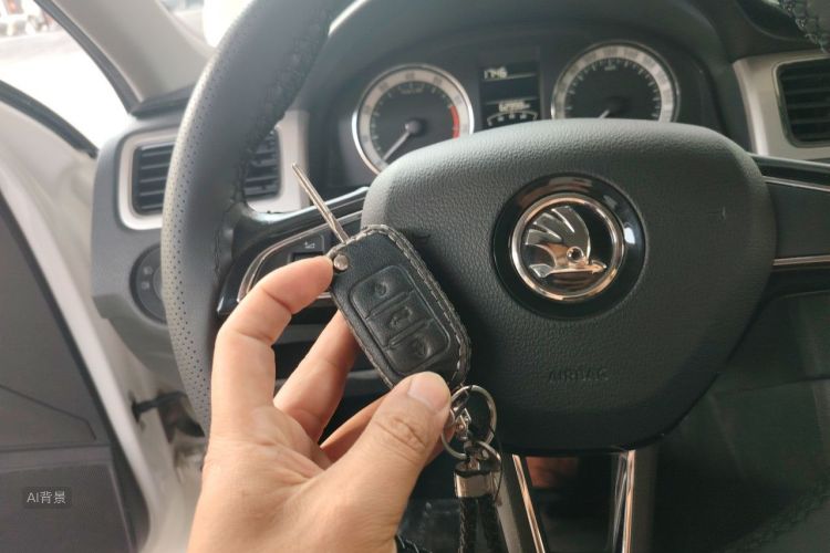 Skoda Rapid 2019 car image #10