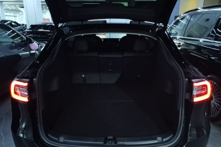 Tesla Model Y 2024 #19 Tesla Model Y 2024 صورة سيارة #19